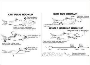 baiting.jpg