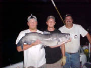 littler3673005.jpg